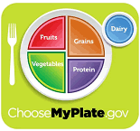 USDA Food Guide