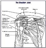 Shoulder Impingement Explained